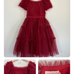 Ivy City Co Red Tulle Dress